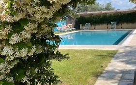 Villa Borgeri